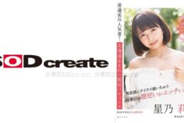 [中文字幕] 576STZY-006 秘藏的私密攝影視頻公開 星乃莉子(23)