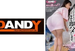 [中文字幕] 104DANDY-839C 在垃圾站和穿著緊身透視連衣裙的人妻單獨相處！無意識誘惑的美臀可以透視看到內褲實在太色情了當場插入。